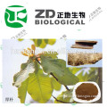 natural Magnolia officinalis bark extract